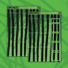 Load image into Gallery viewer, Beetle 🧃 Green Stripe Deco Boxes (choose your size)