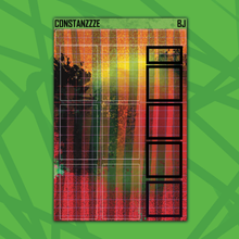 Load image into Gallery viewer, Beetle 🧃 Red Pattern Deco Boxes (choose your size)