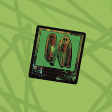 Load image into Gallery viewer, Beetle π§ Die Cut Bundle