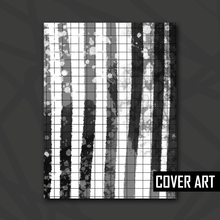 Load image into Gallery viewer, Black and White Stripe Splatter Sleeved Album
